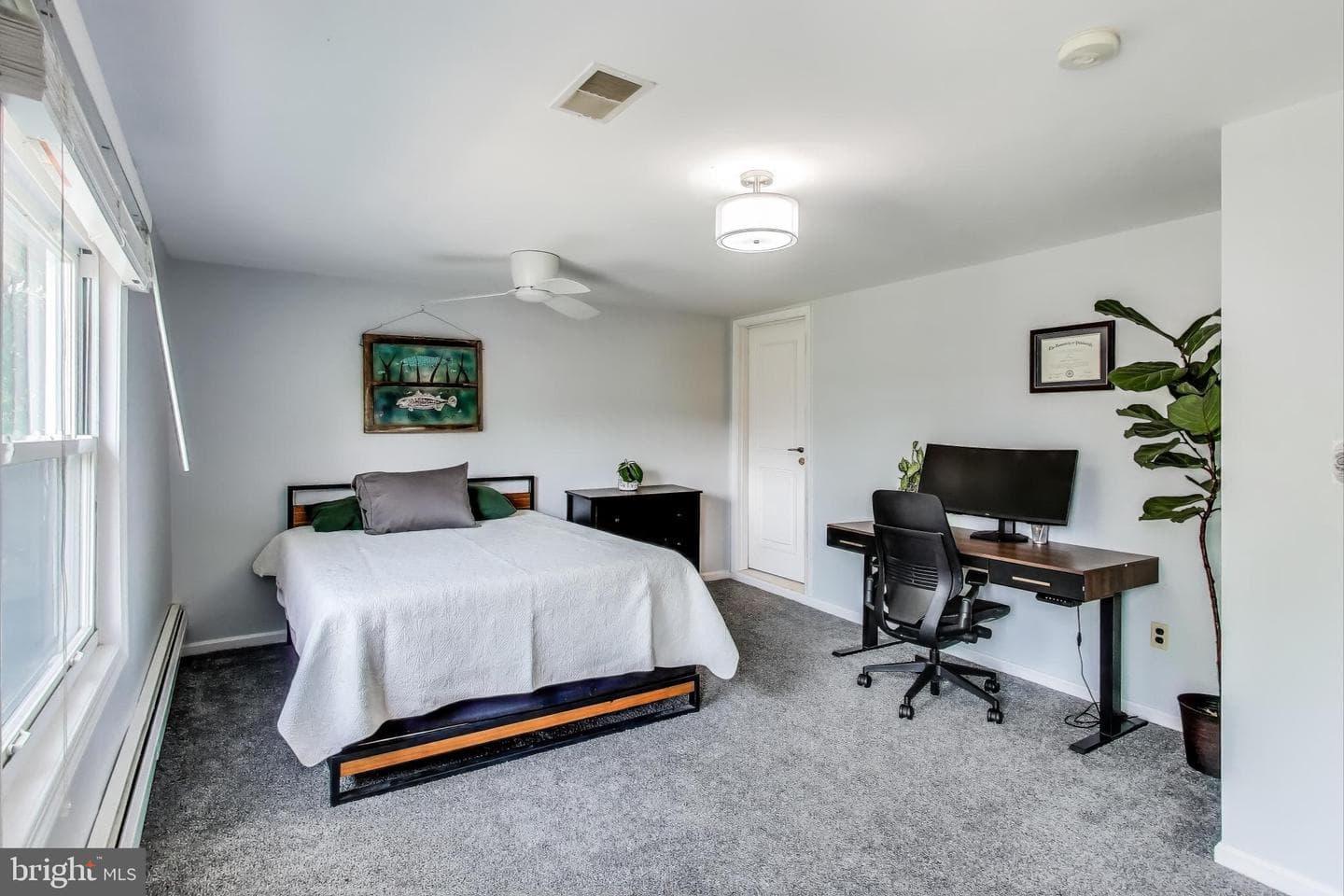 805 Islington Street photo 28