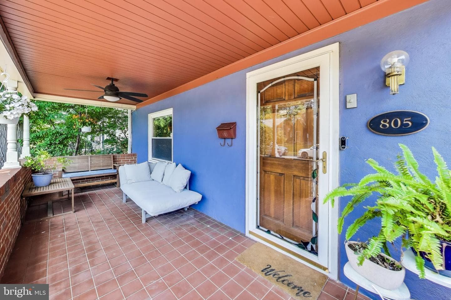 805 Islington Street photo 4