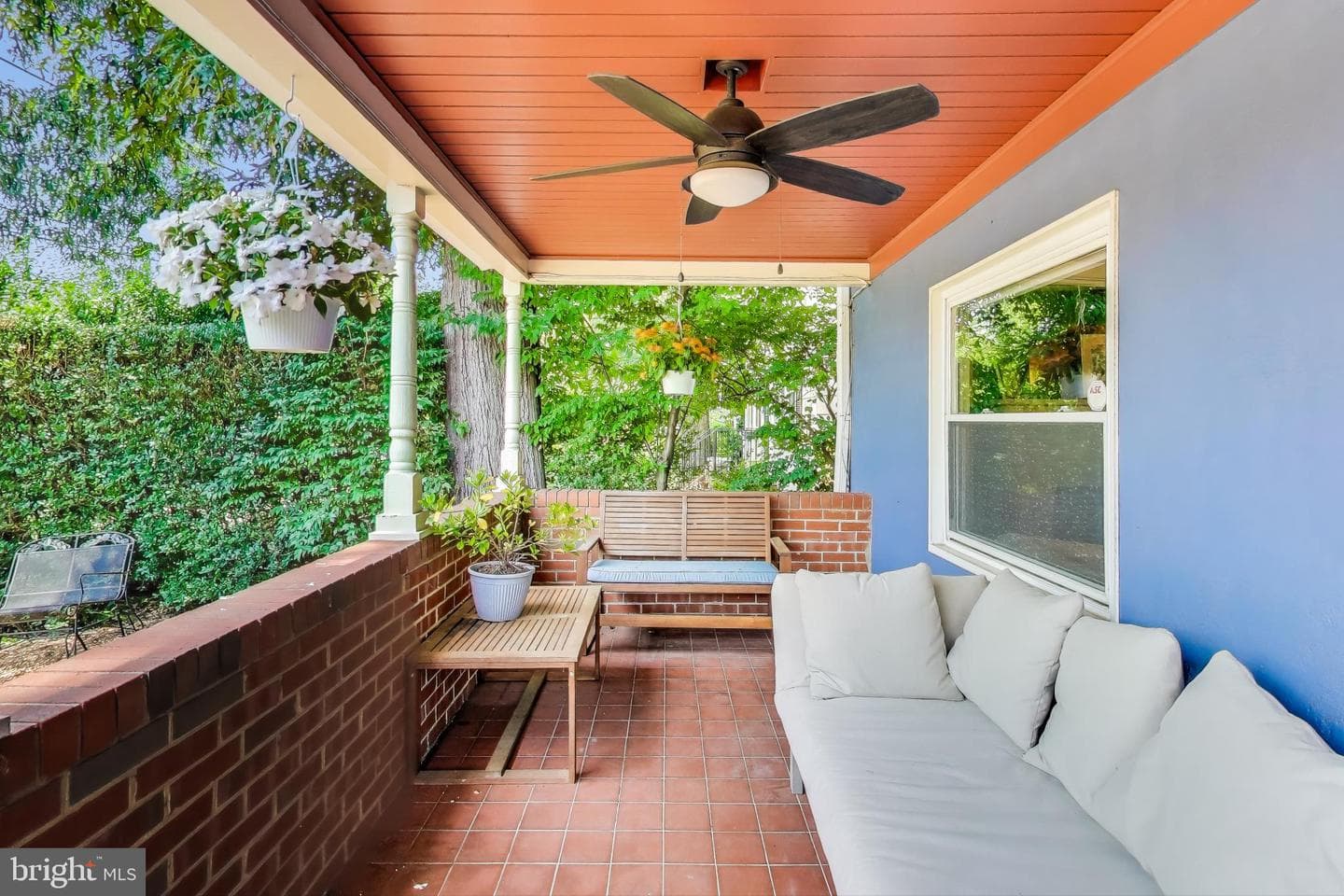 805 Islington Street photo 5