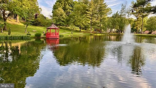 12323 Overpond Way photo 89
