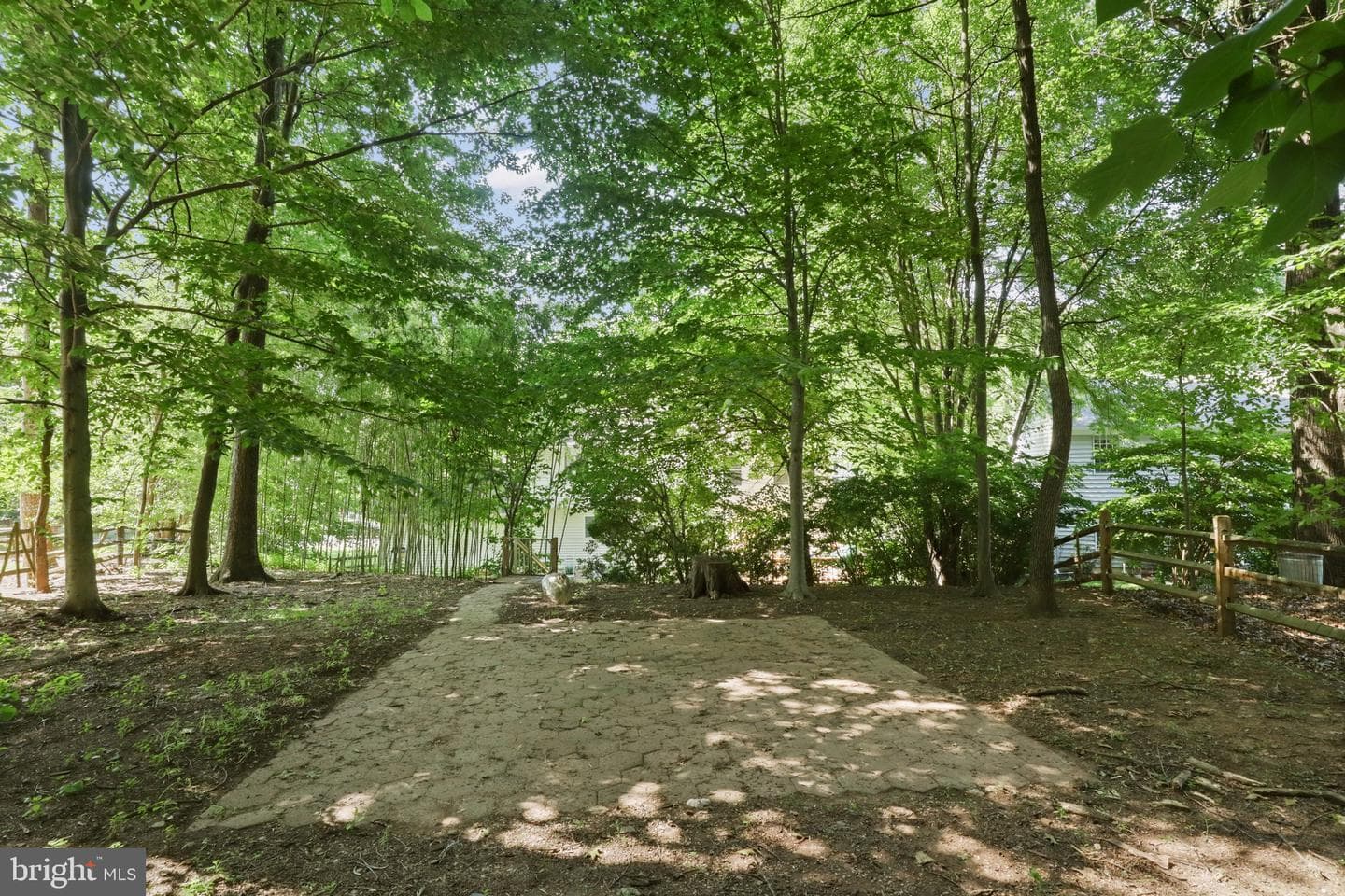 11531 Paramus Drive photo 43