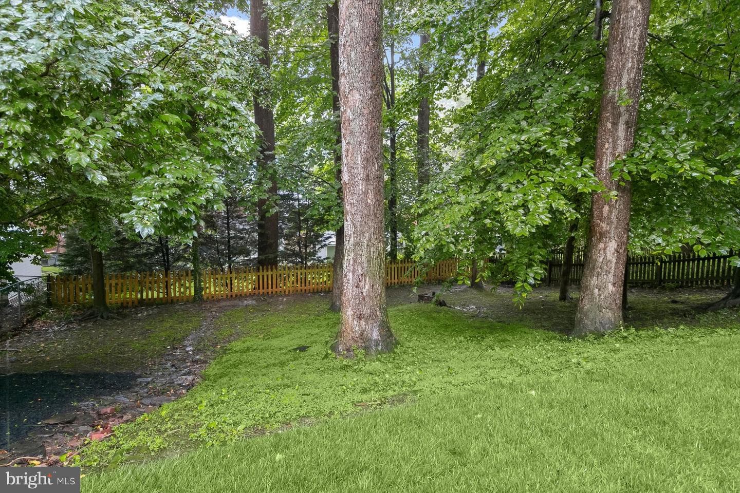 5910 Cobalt Road photo 35