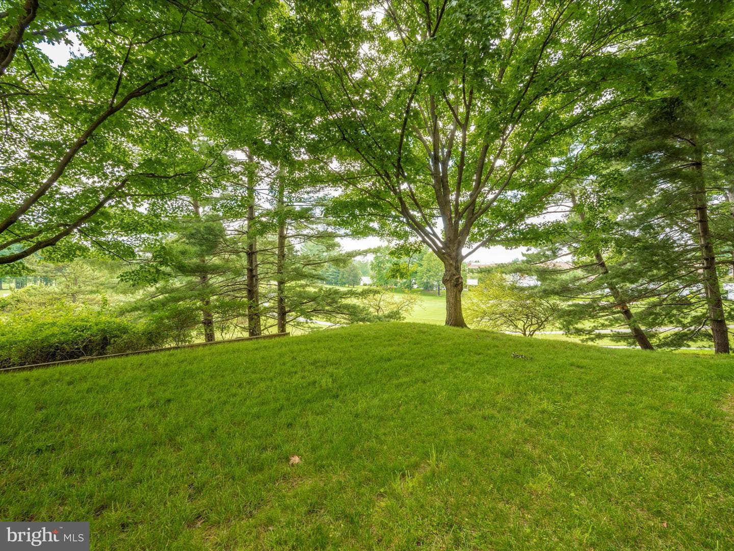 15101 Interlachen Drive #1-116 photo 75