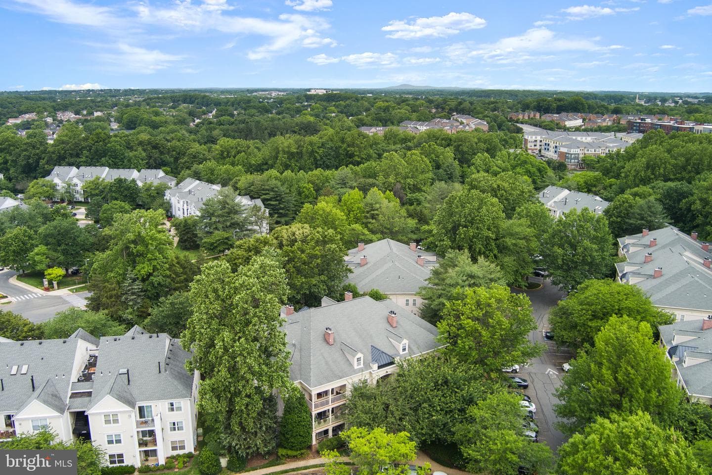 15306 Diamond Cove Terrace #2l photo 2