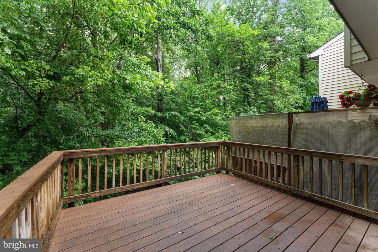 13529 Ambassador Drive #13529 photo 43