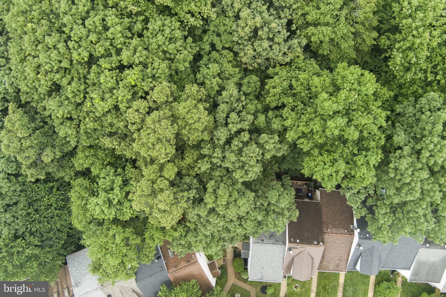 13529 Ambassador Drive #13529 photo 48