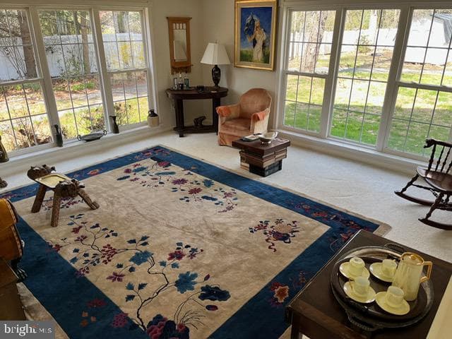 13321 Travilah Road photo 19