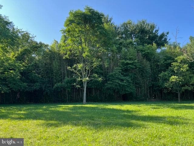 18432 Gardenia Way photo 53