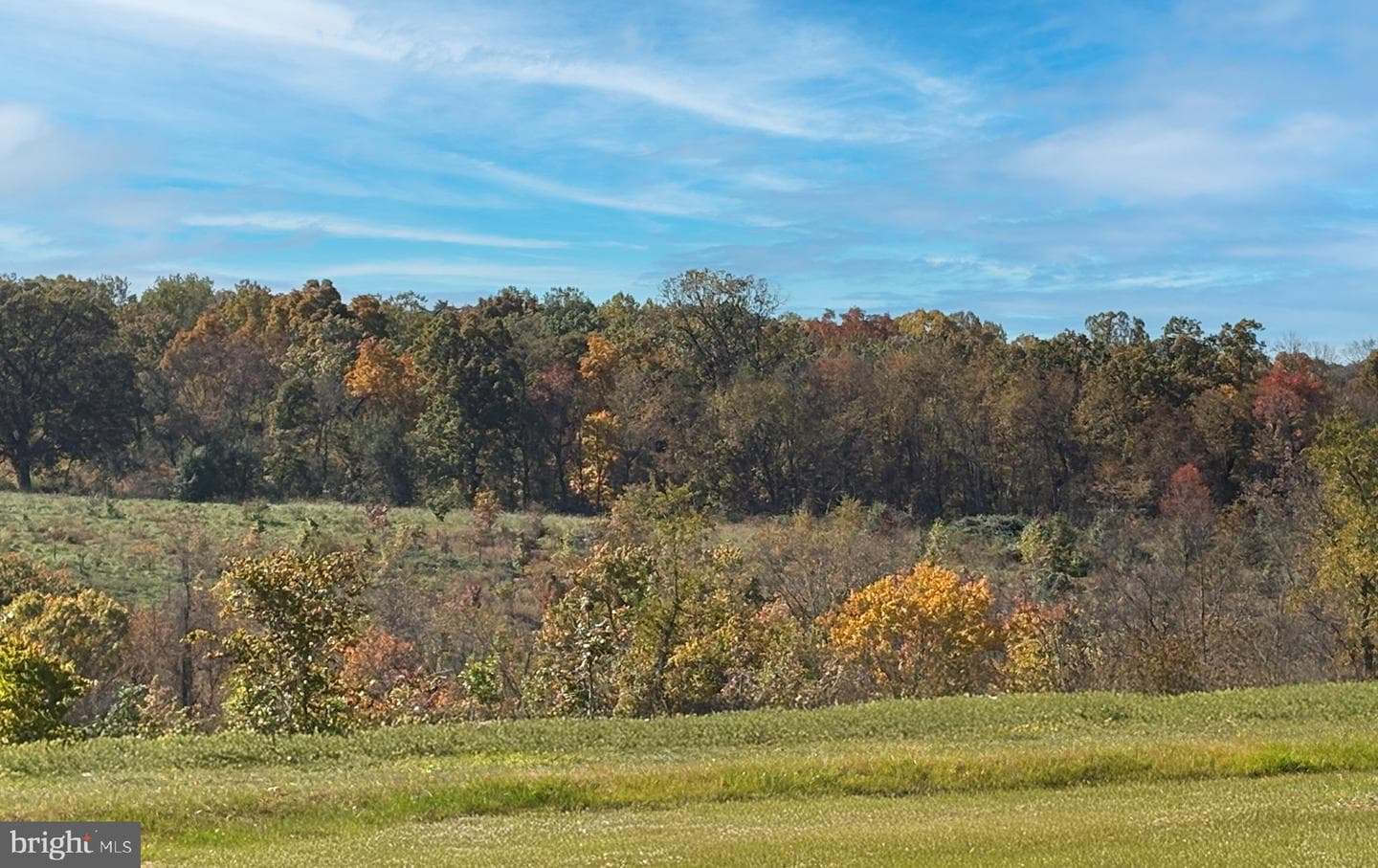 14610 Sourgum Road photo 51