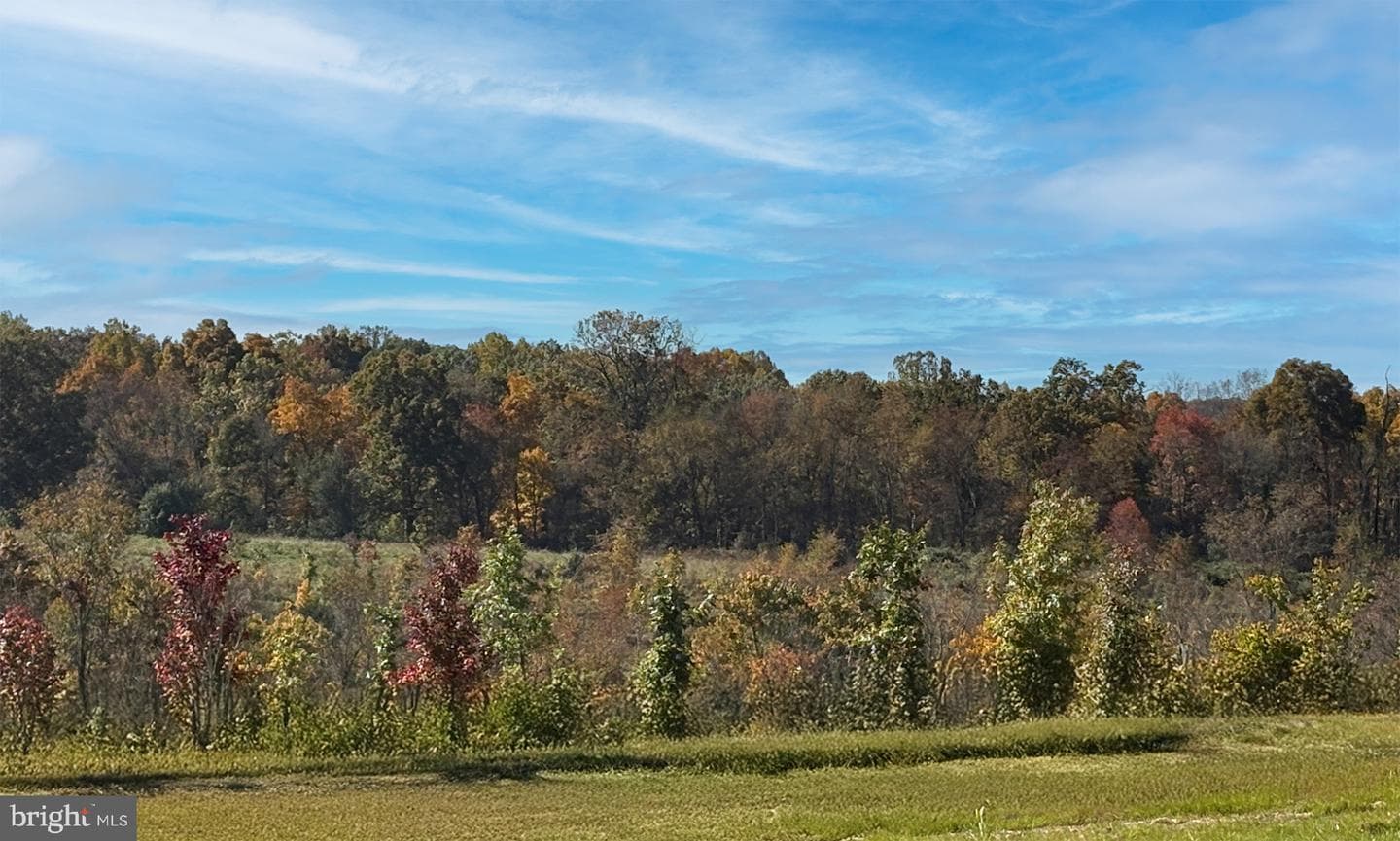 14610 Sourgum Road photo 52