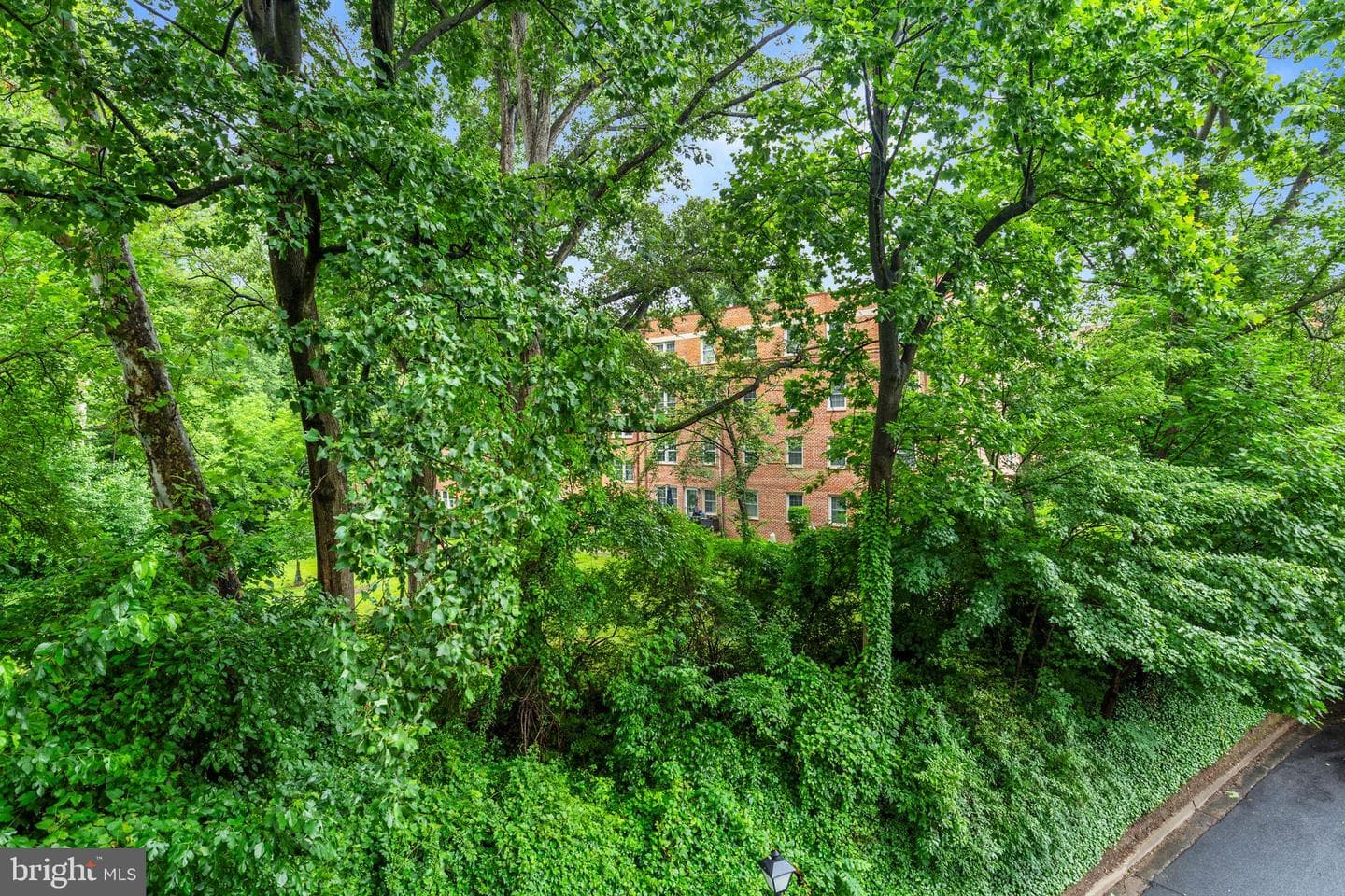 2100 Washington Avenue #3-C photo 29