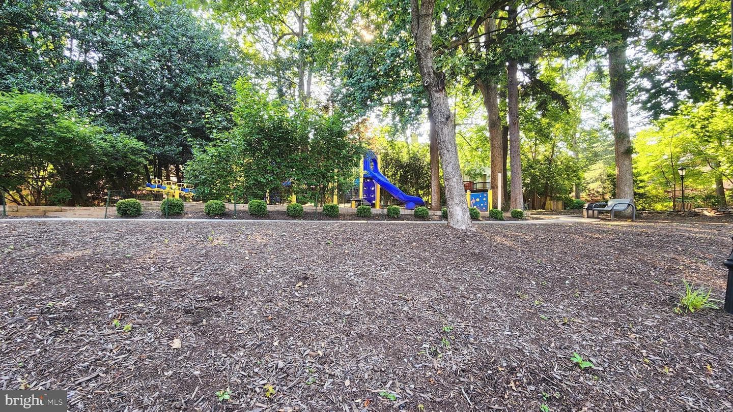 11432 Hollowstone Drive photo 42