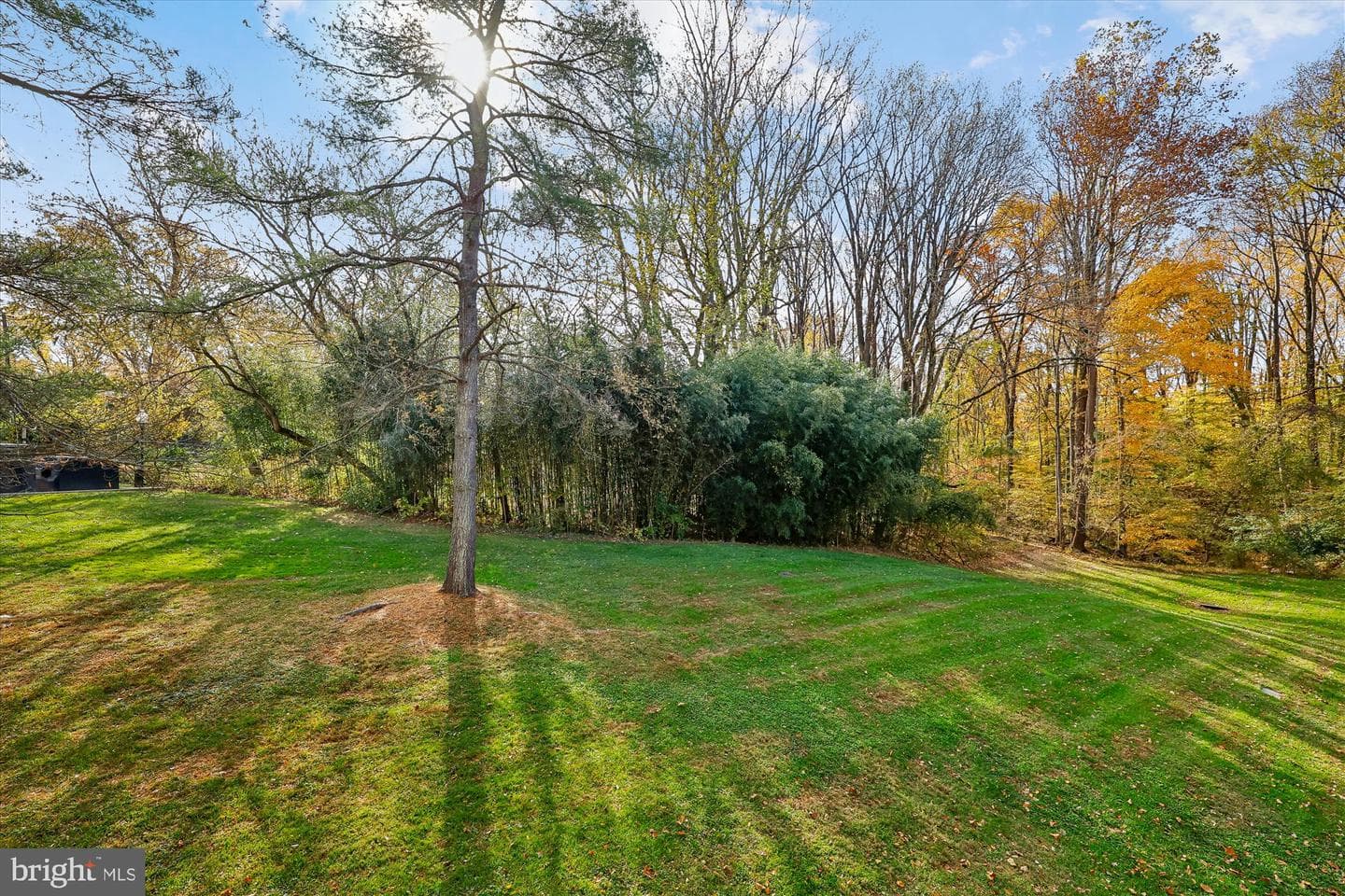 14428 Parkvale Road ##3 photo 36