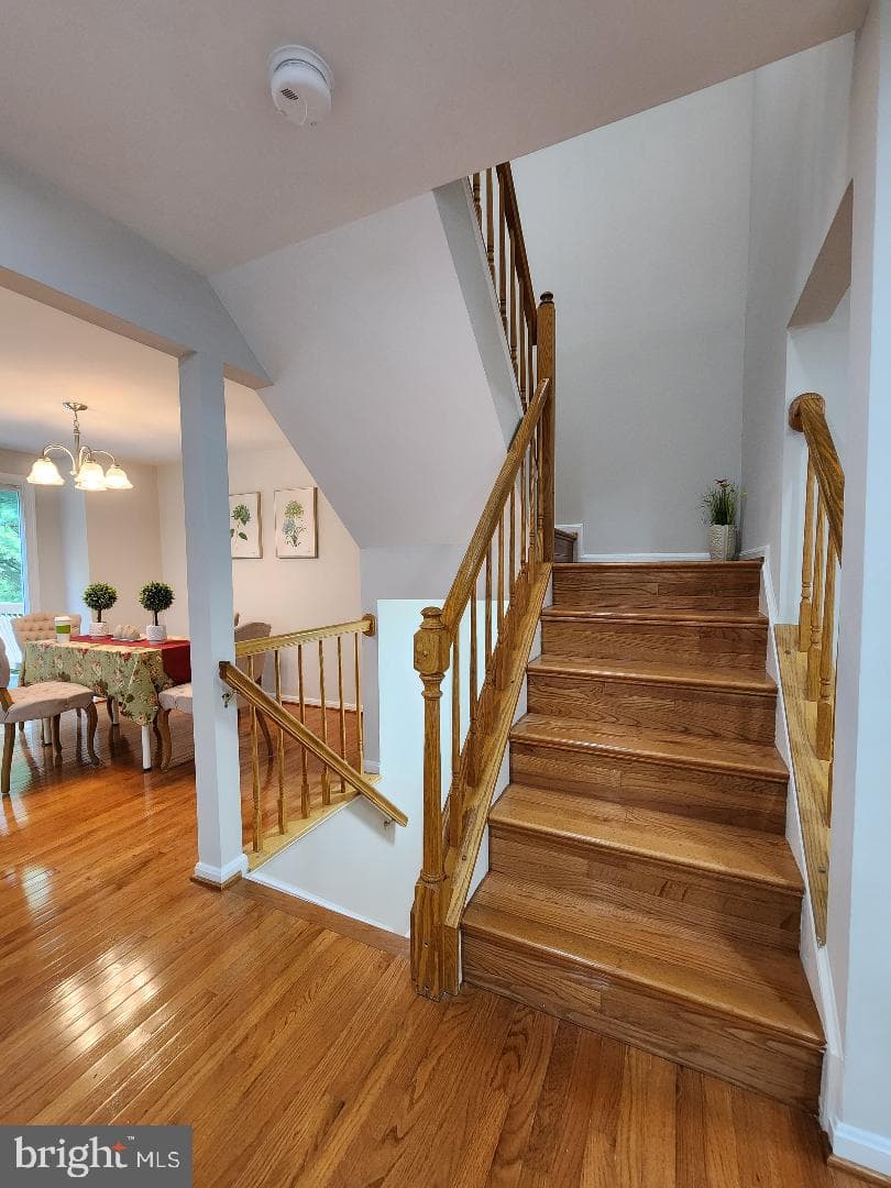 10539 Polk Square Court photo 5