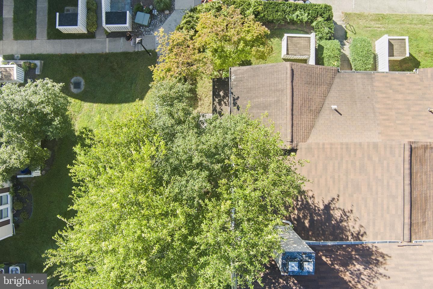 20172 Locustdale Drive #221 photo 40