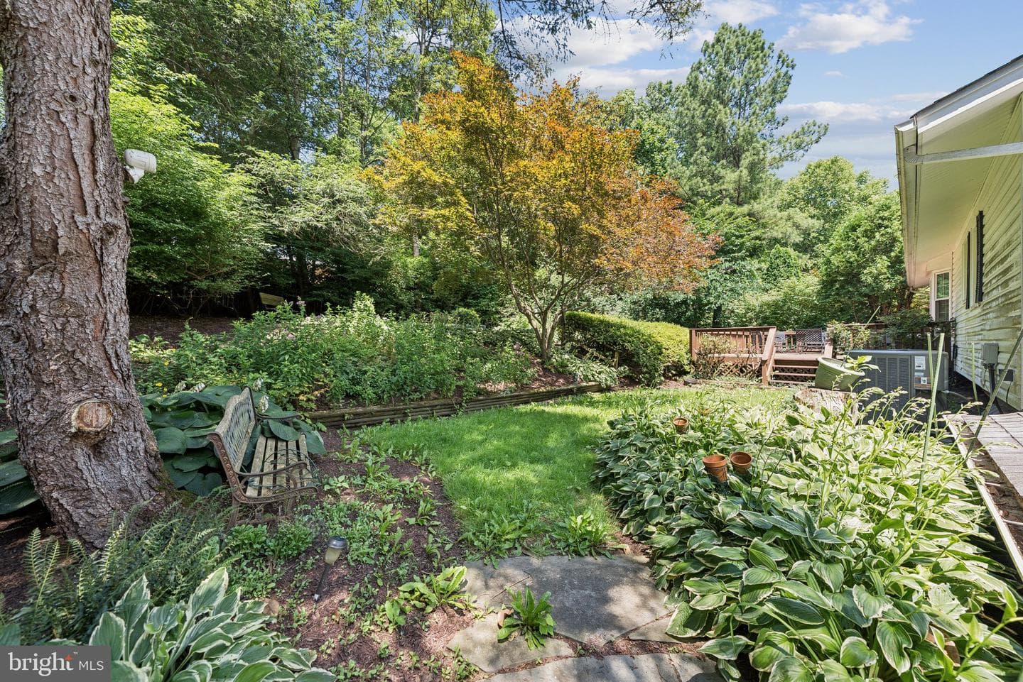 889 Diamond Drive photo 4