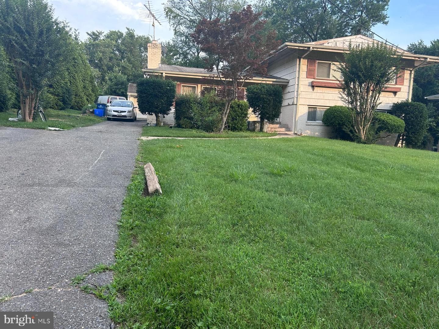 11135 Lockwood Drive photo 3