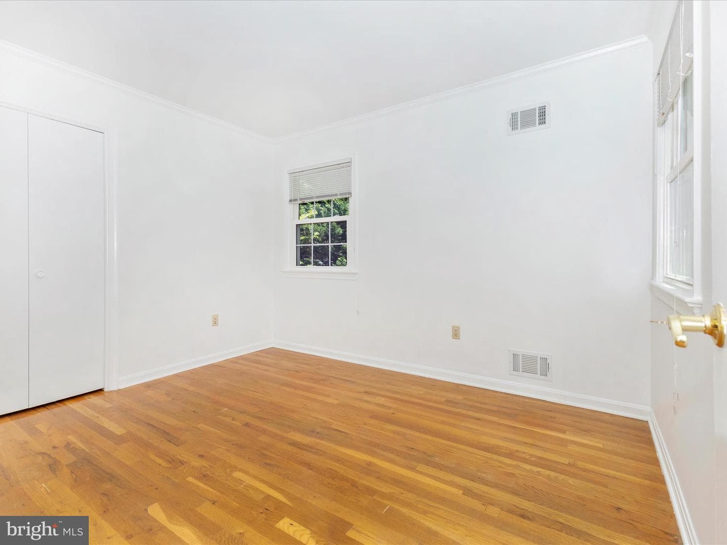 31 Cullinan Drive photo 24