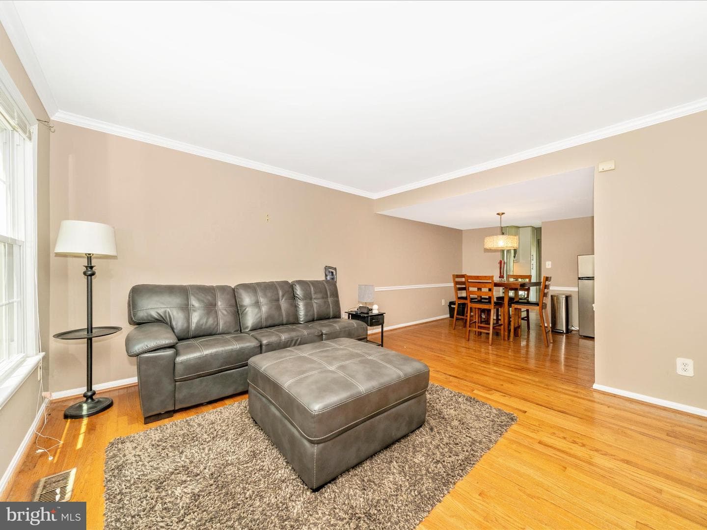 10060 Maple Leaf Drive photo 11