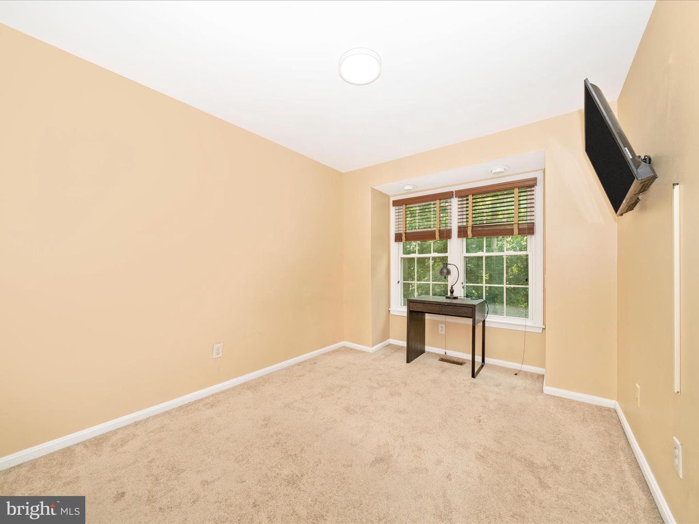 10060 Maple Leaf Drive photo 24