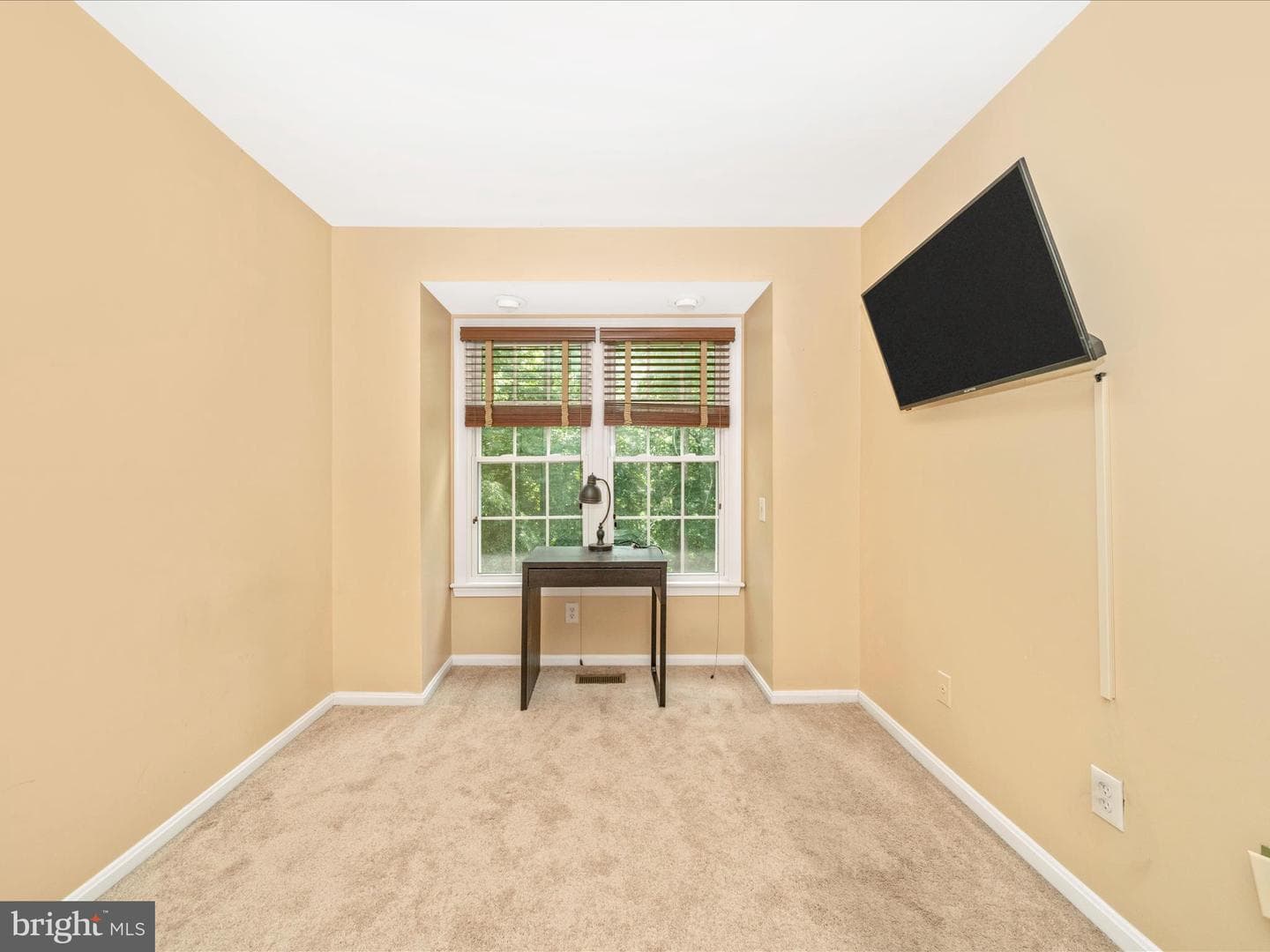 10060 Maple Leaf Drive photo 25