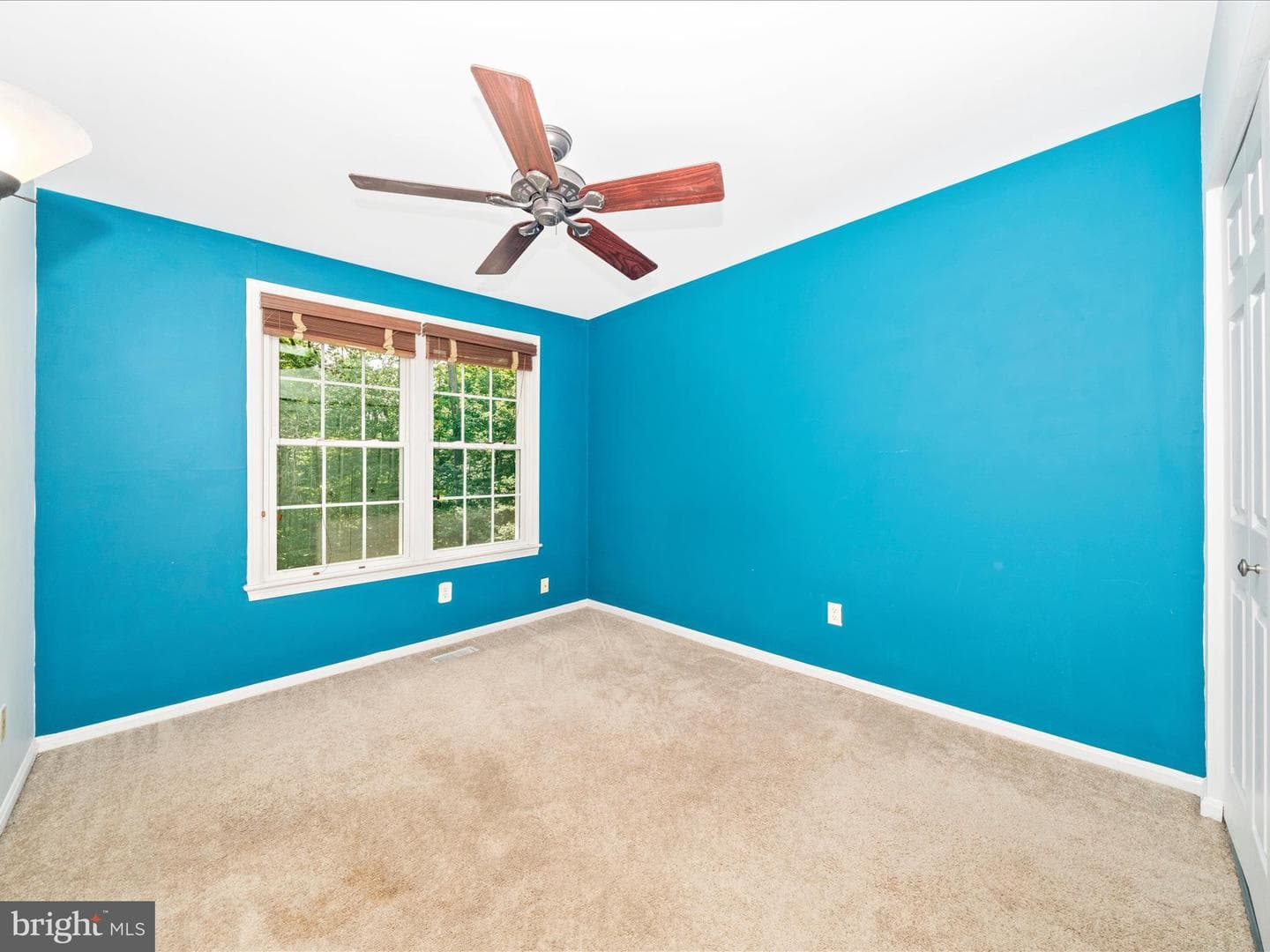 10060 Maple Leaf Drive photo 27