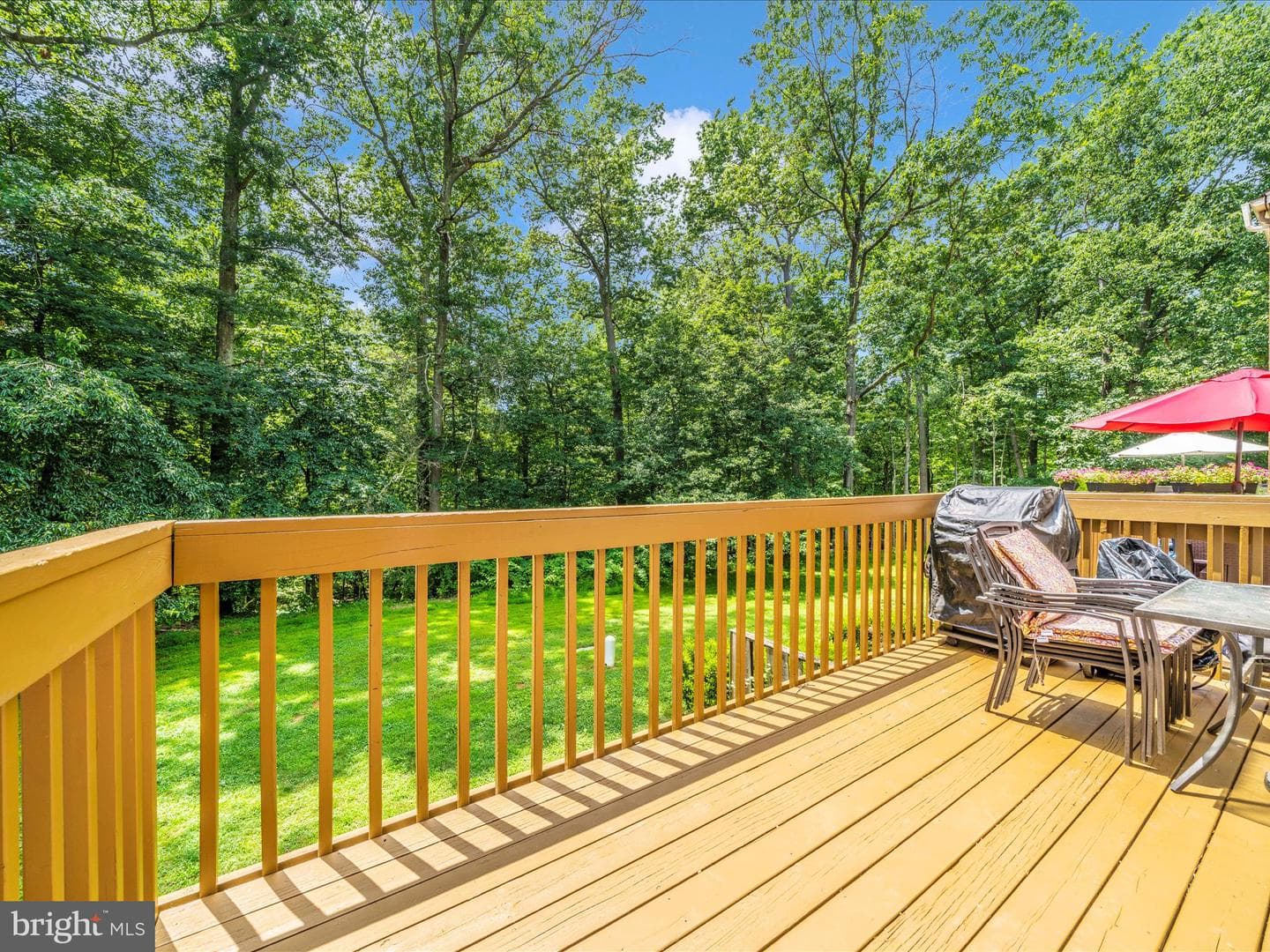 10060 Maple Leaf Drive photo 40