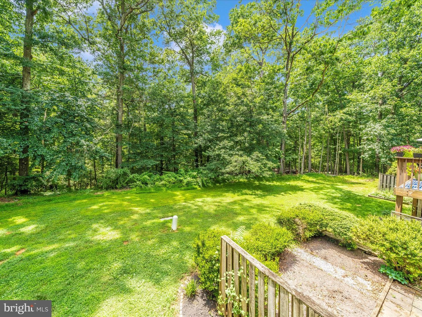 10060 Maple Leaf Drive photo 43