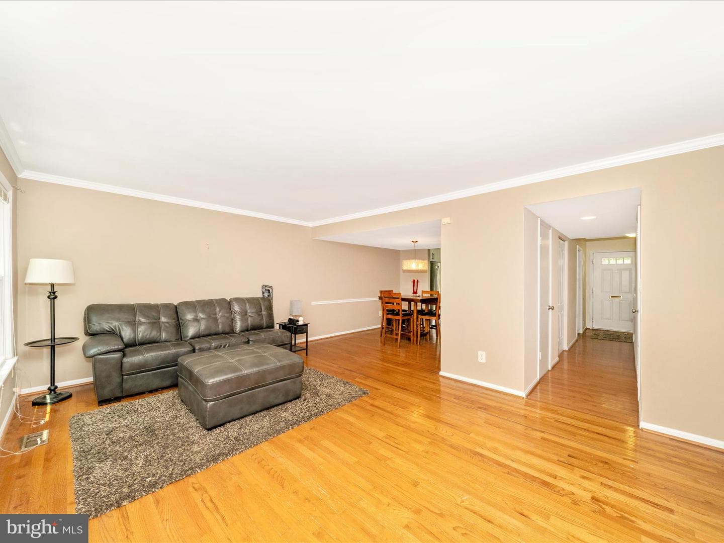 10060 Maple Leaf Drive photo 6
