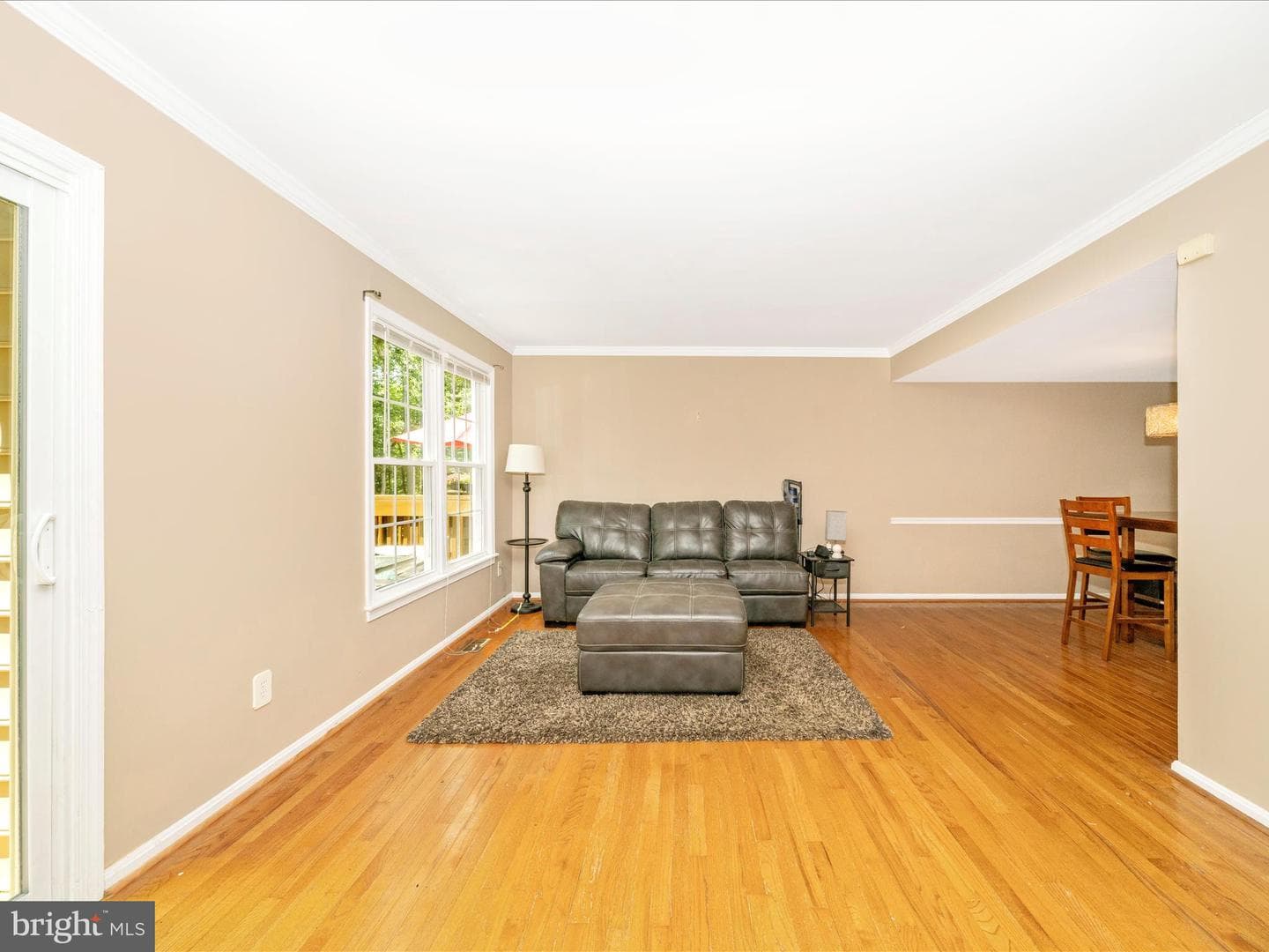 10060 Maple Leaf Drive photo 9