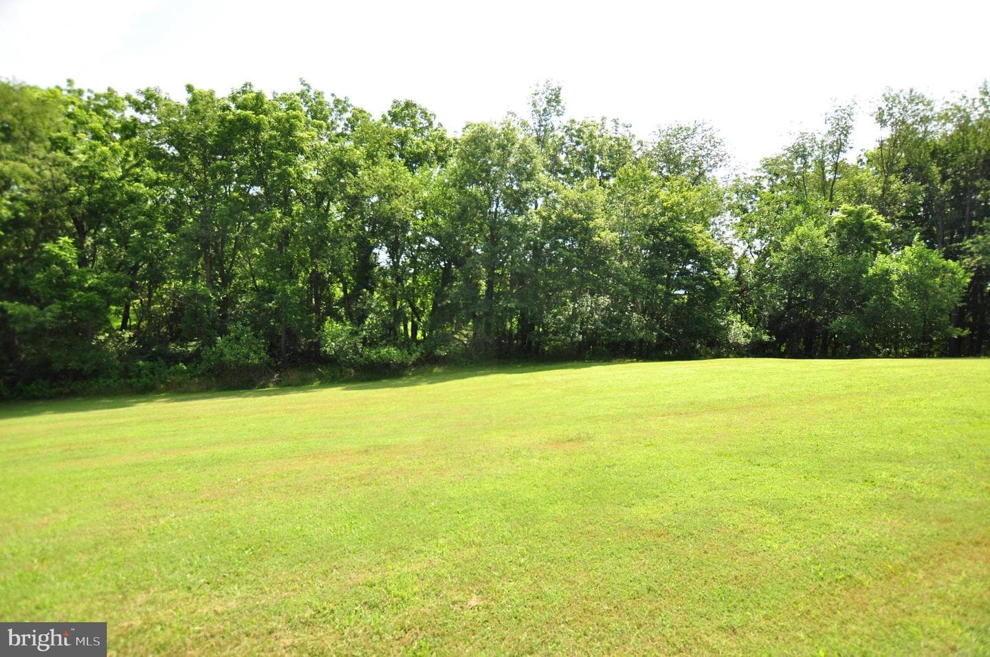 23309 Woodfield Road photo 11