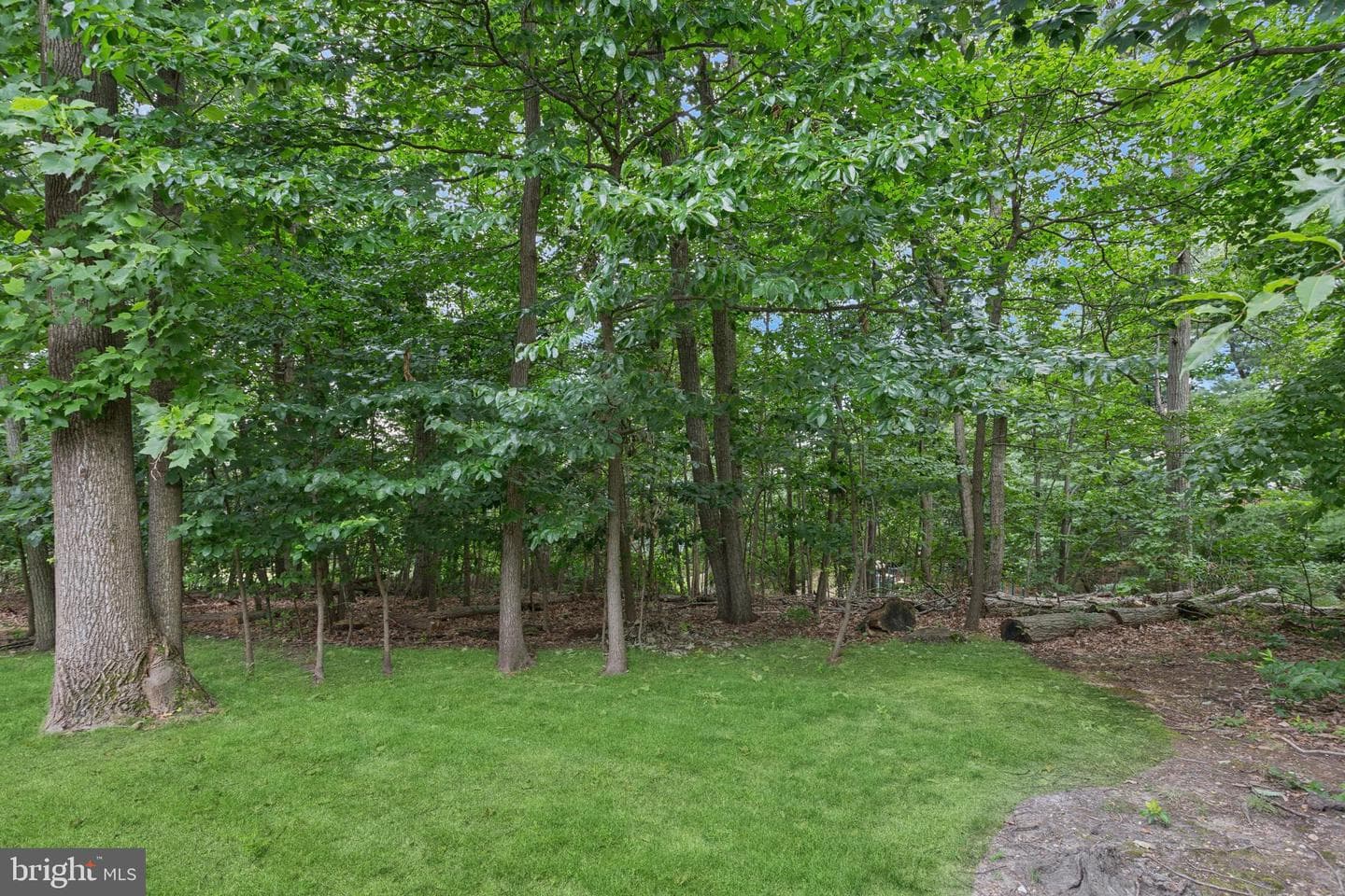 14944 Mcknew Road photo 37