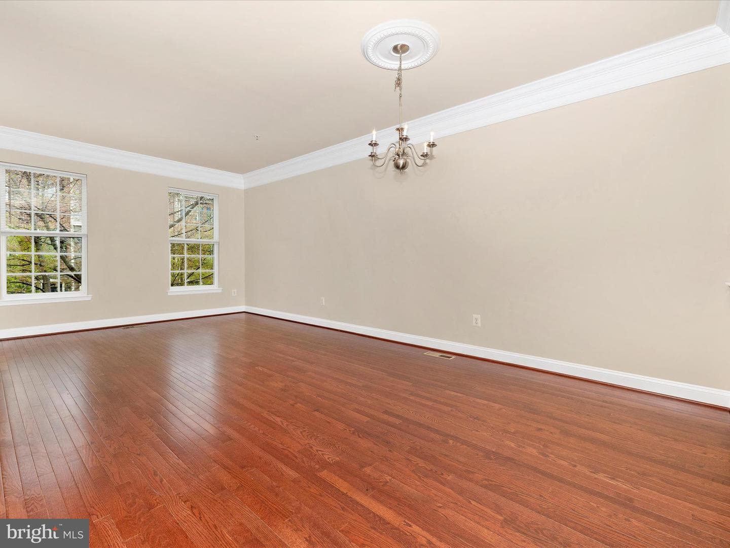 12712 Horseshoe Bend Circle photo 9