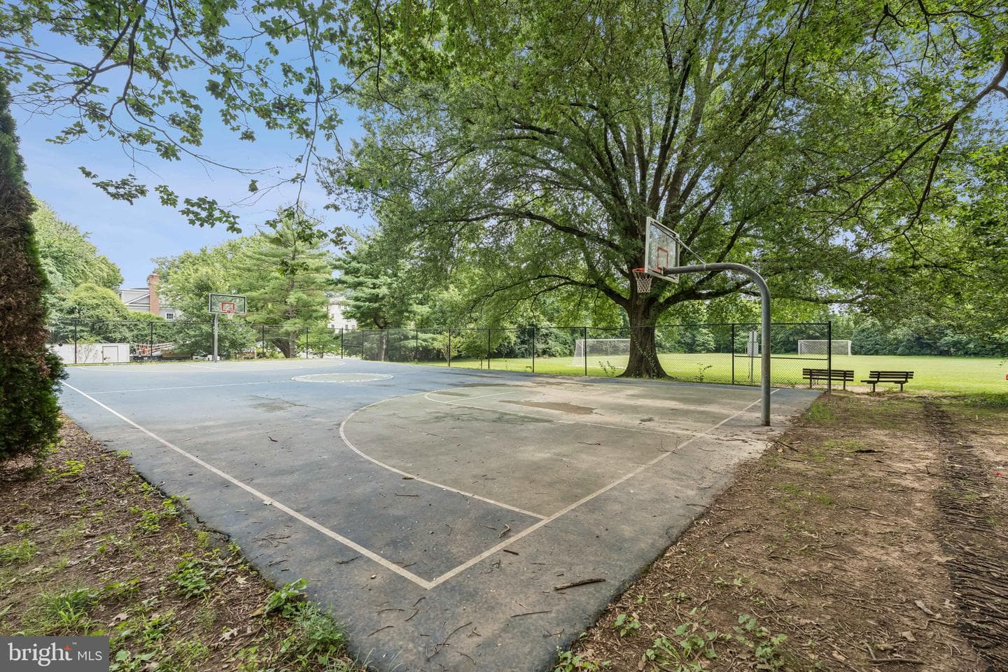 7201 Chestnut Street photo 31