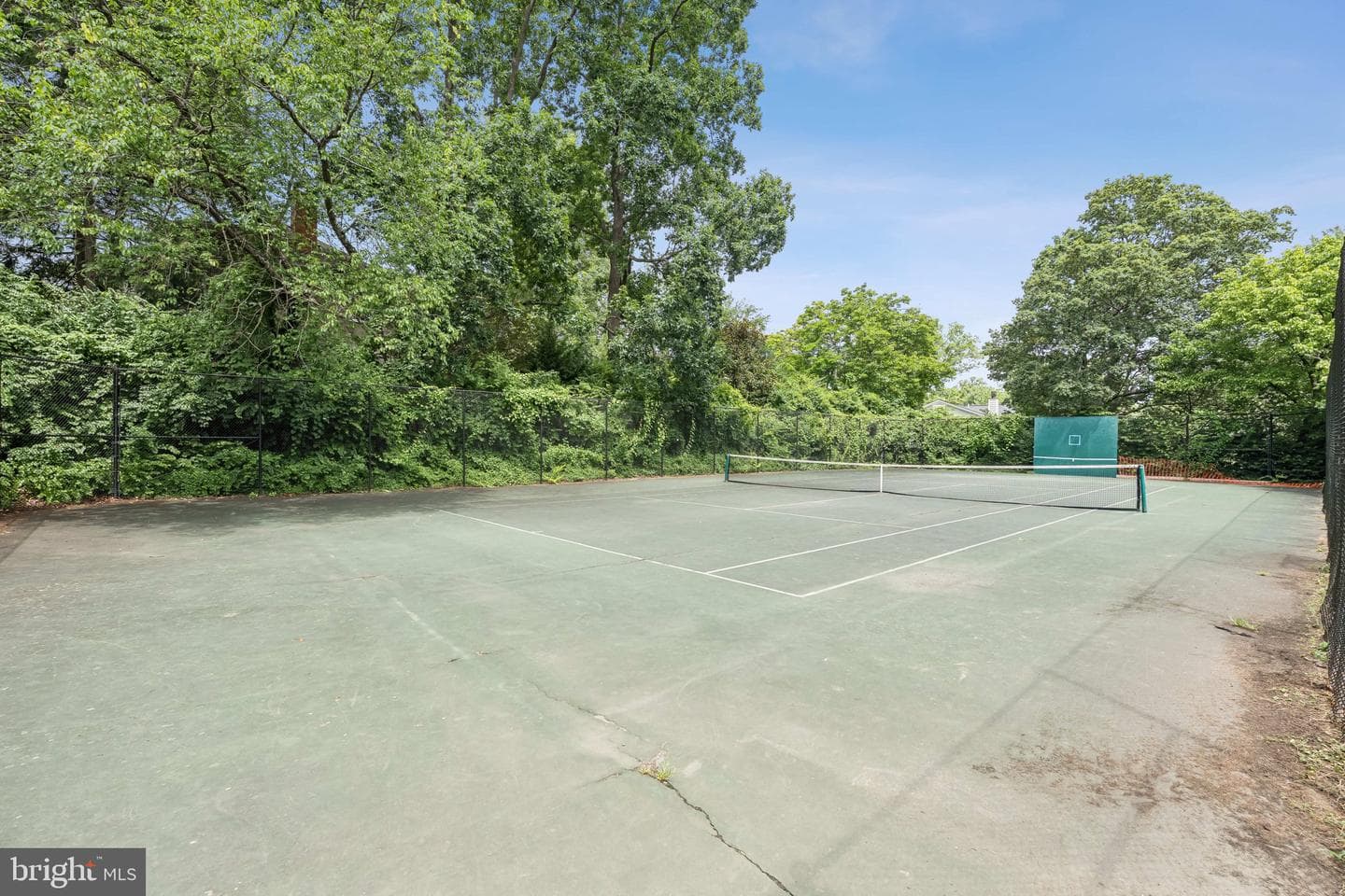 7201 Chestnut Street photo 32