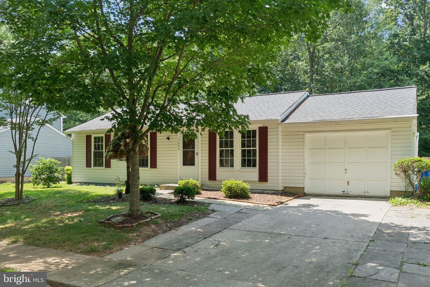 7454 Brenish Drive photo 2