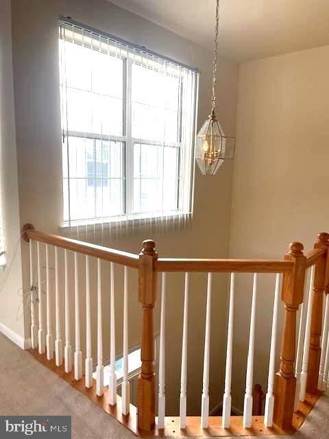 9405 Royal Bonnet Terrace photo 10