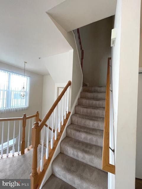 9405 Royal Bonnet Terrace photo 14
