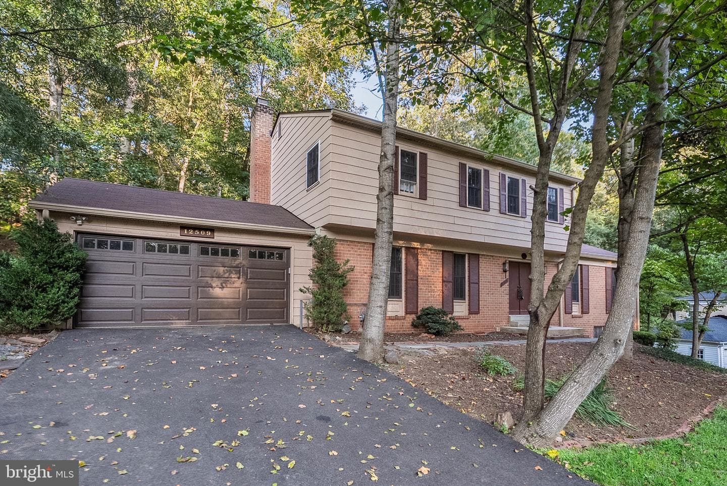 12509 White Drive photo 2