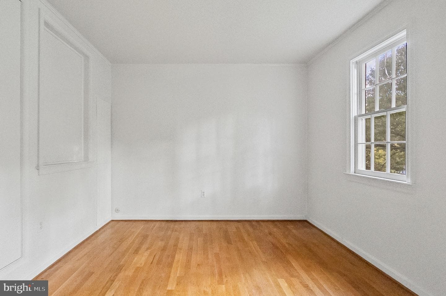 12509 White Drive photo 28