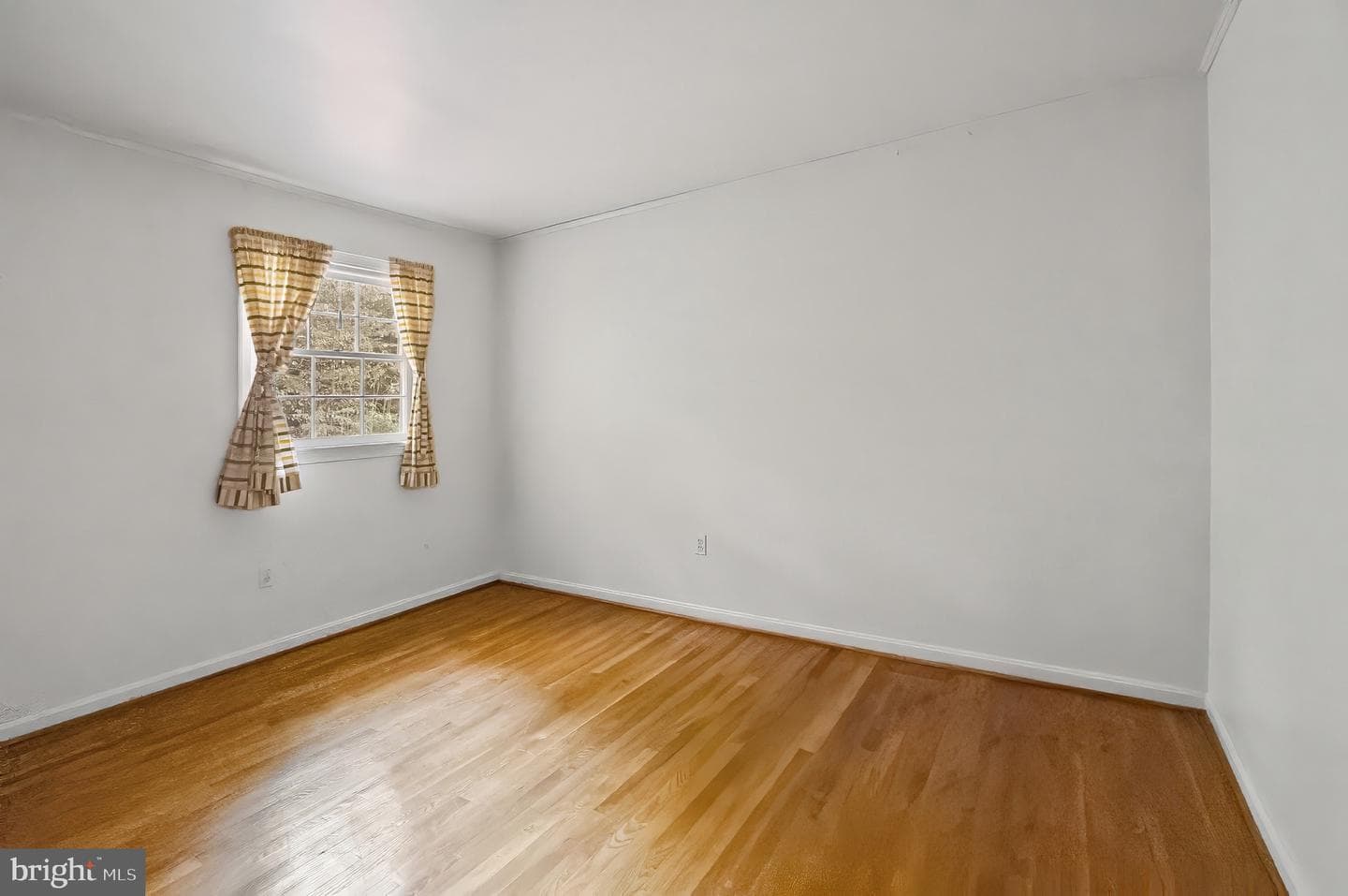 12509 White Drive photo 29