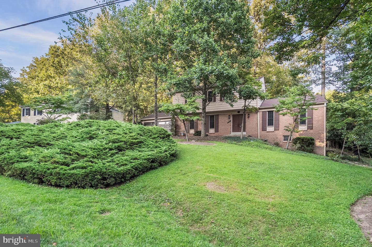 12509 White Drive photo 4