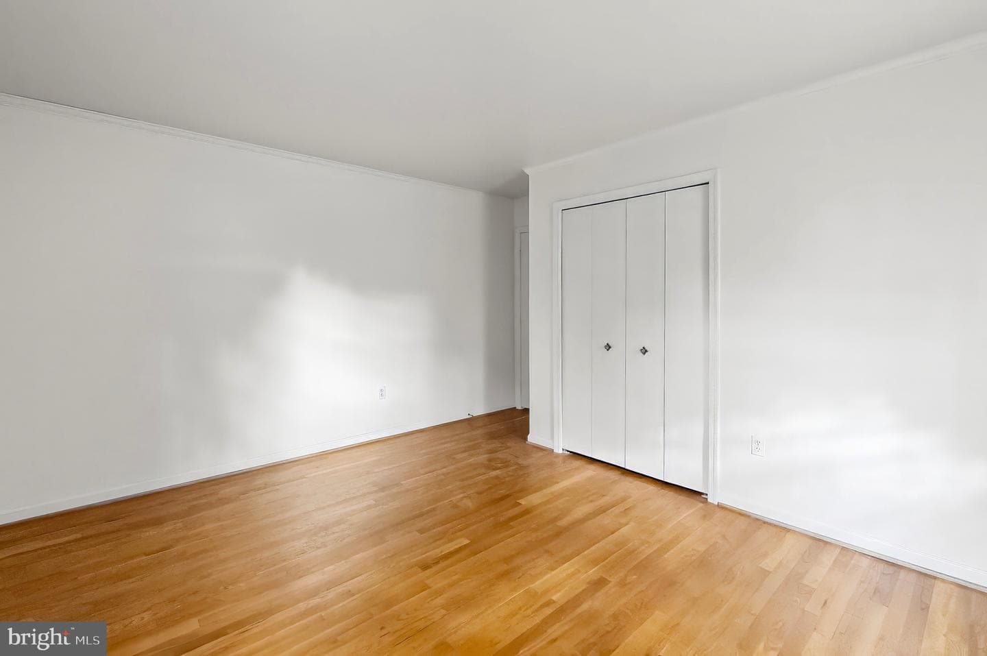 12509 White Drive photo 41
