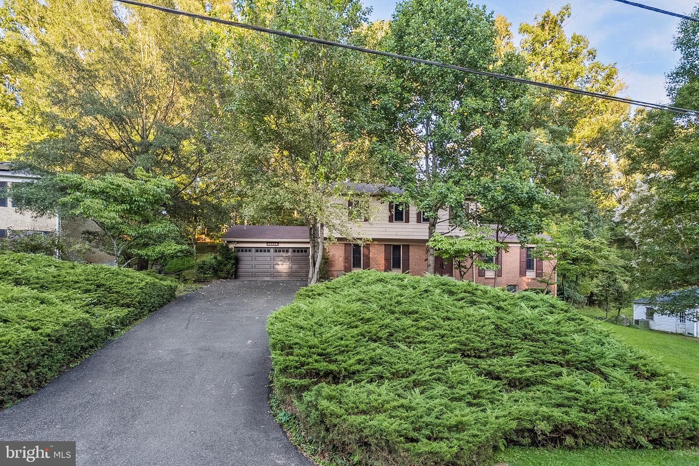 12509 White Drive photo 5