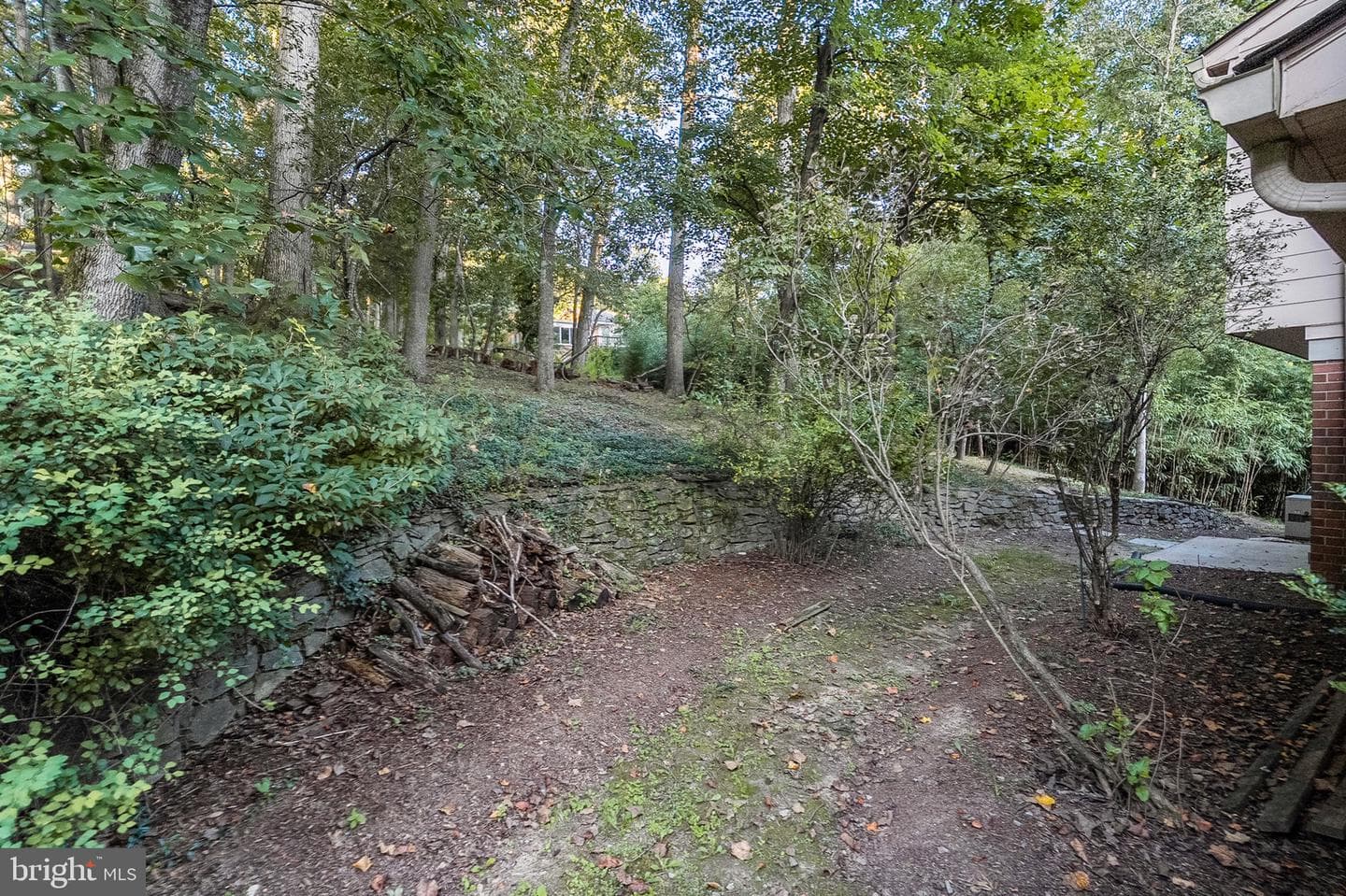 12509 White Drive photo 59