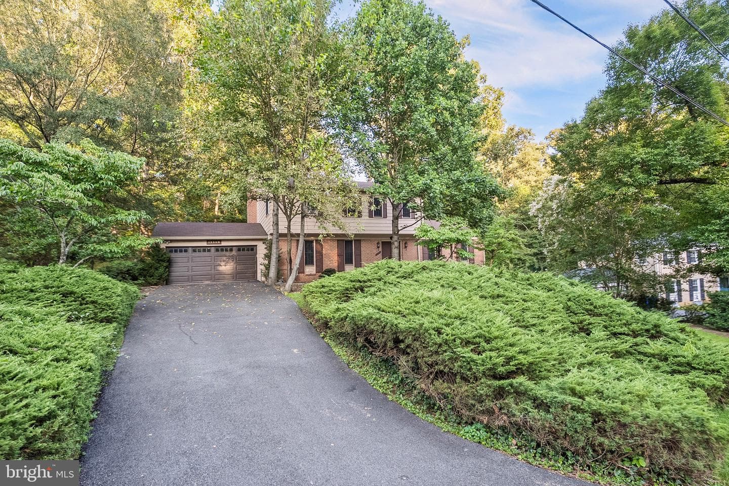 12509 White Drive photo 6