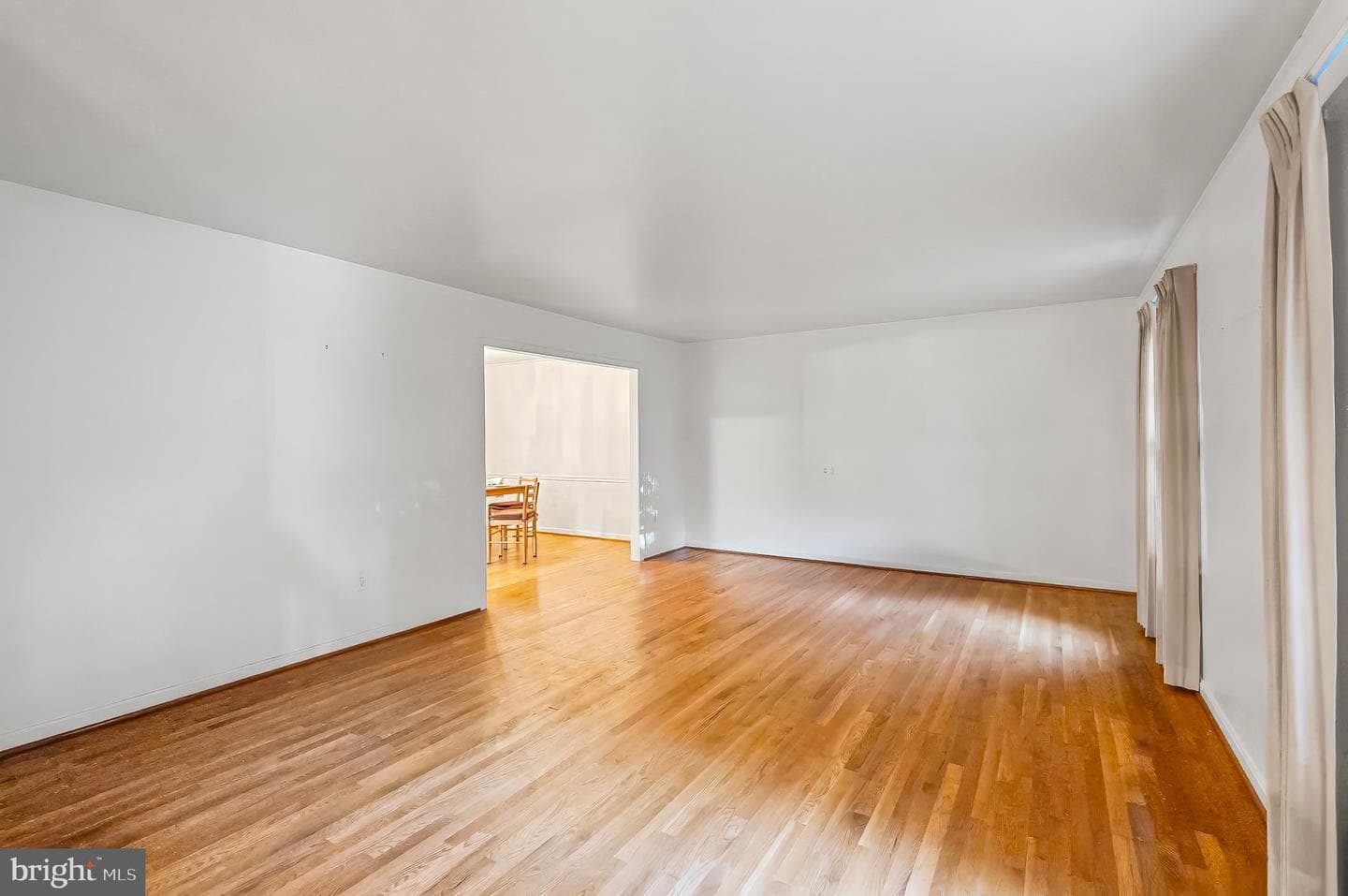 12509 White Drive photo 7