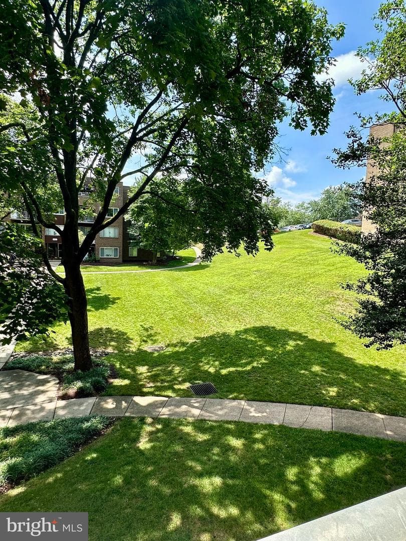 426 Girard Street #164 photo 15