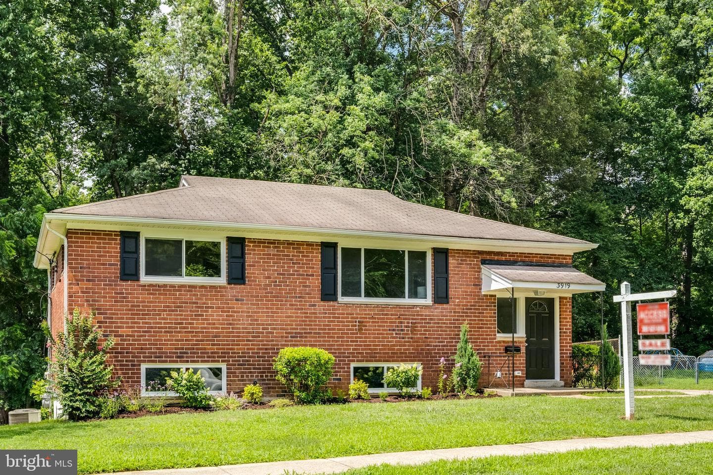 3919 Littleton Street photo 1