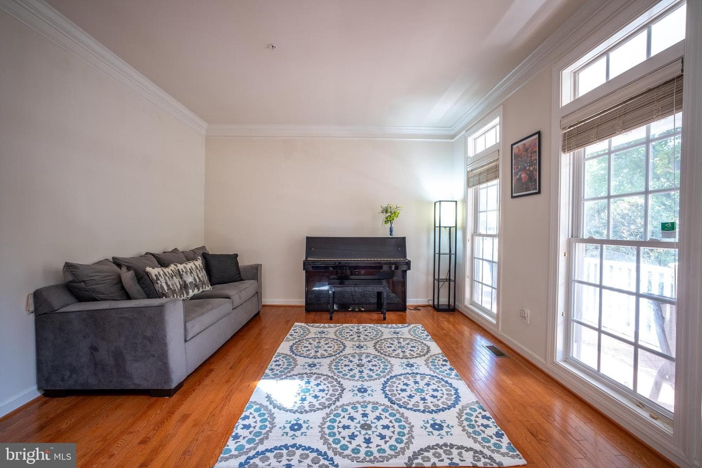 13323 Catawba Manor Way photo 17